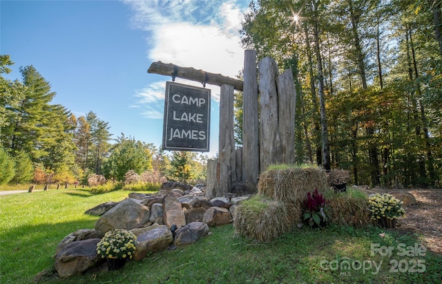 92 Rusty Hook Rd, Nebo, NC 28761 - photo 42