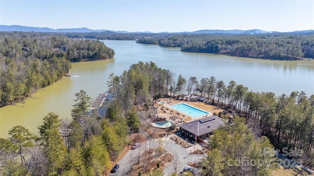 92 Rusty Hook Rd, Nebo, NC 28761 - photo 43