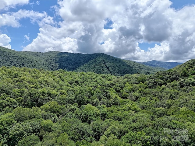 LOT60 Yonder Trl, Maggie Valley, NC 28751 - photo 2