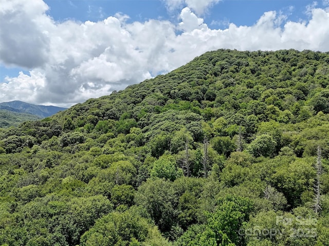 LOT60 Yonder Trl, Maggie Valley, NC 28751 - photo 3