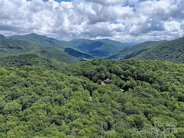 LOT60 Yonder Trl, Maggie Valley, NC 28751 - photo 4