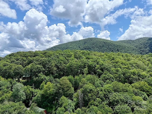 LOT60 Yonder Trl, Maggie Valley, NC 28751 - photo 5
