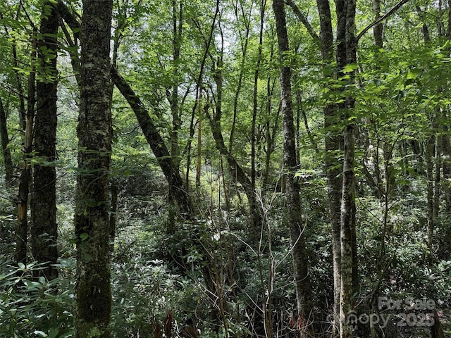 LOT60 Yonder Trl, Maggie Valley, NC 28751 - photo 6