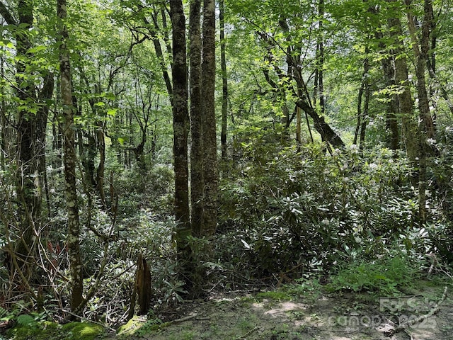 LOT60 Yonder Trl, Maggie Valley, NC 28751 - photo 8
