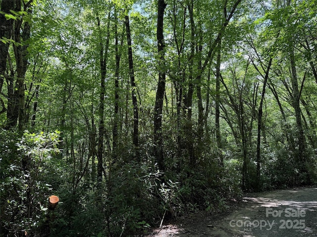 LOT60 Yonder Trl, Maggie Valley, NC 28751 - photo 9