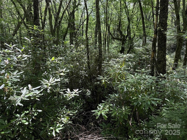 LOT60 Yonder Trl, Maggie Valley, NC 28751 - photo 10