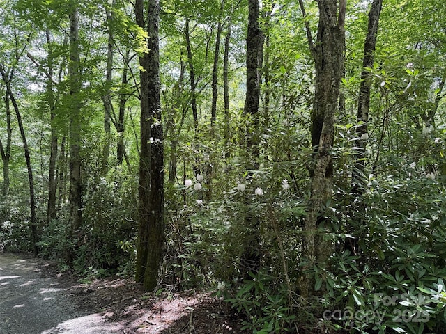 LOT60 Yonder Trl, Maggie Valley, NC 28751 - photo 11