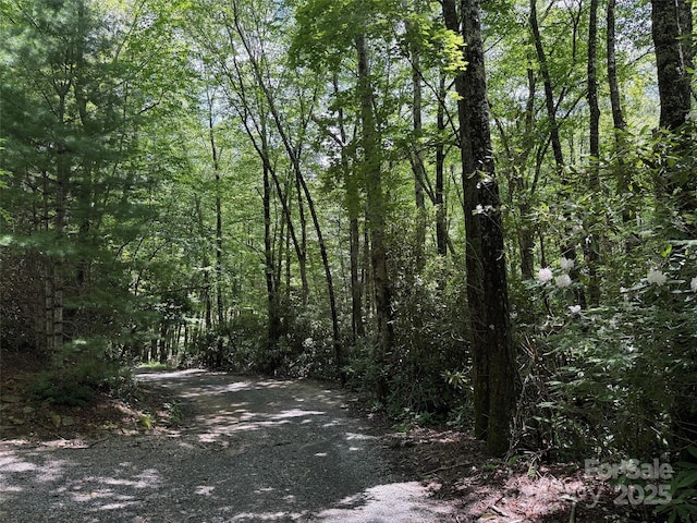 LOT60 Yonder Trl, Maggie Valley, NC 28751 - photo 12