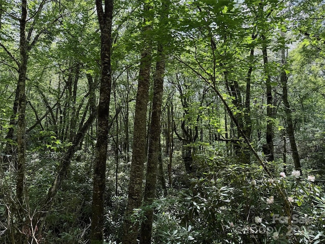 LOT60 Yonder Trl, Maggie Valley, NC 28751 - photo 13