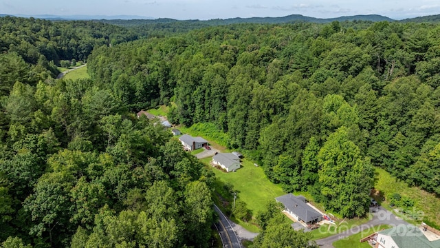 2531 Indian Grave Rd, Lenoir, NC 28645 - photo 24