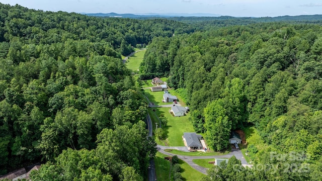 2531 Indian Grave Rd, Lenoir, NC 28645 - photo 25