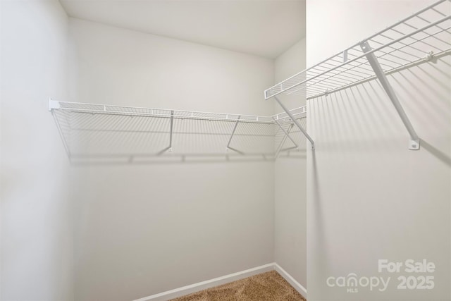 2409 Via Del Conte Aly, Charlotte, NC 28205 - photo 22