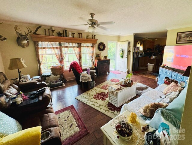 1029 Family Farm Rd, Bennettsville, SC 29512 - photo 27