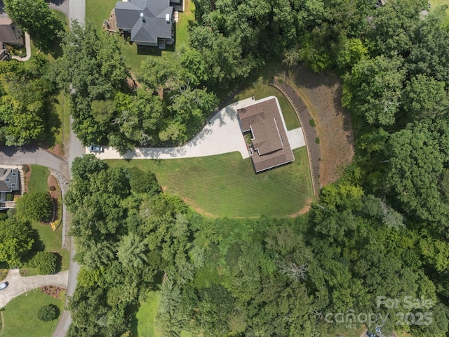 35 Mountain Shadows Dr, Leicester, NC 28748 - photo 9