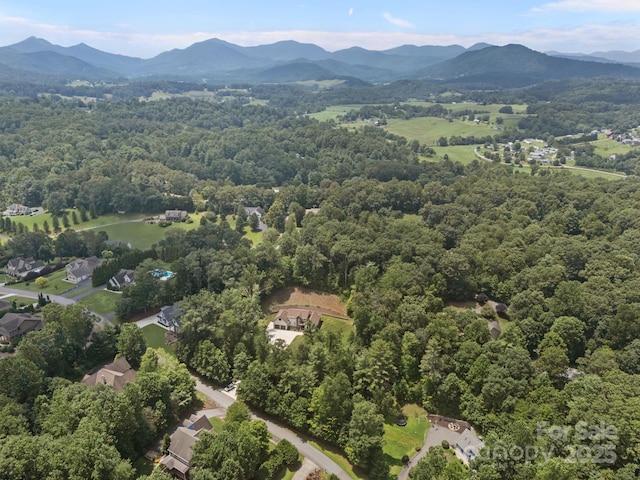 35 Mountain Shadows Dr, Leicester, NC 28748 - photo 10
