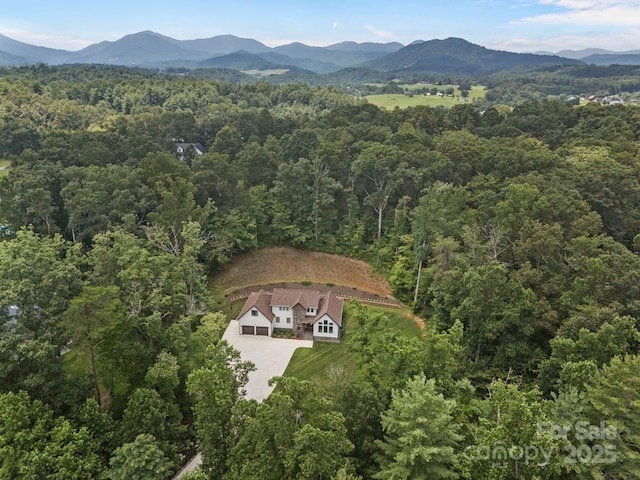 35 Mountain Shadows Dr, Leicester, NC 28748 - photo 12