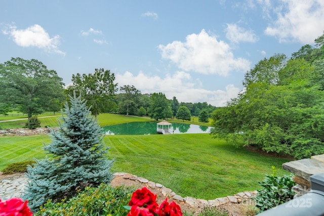 140 Huncoat Hollow Ln, Iron Station, NC 28080 - photo 27