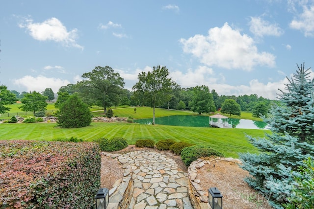 140 Huncoat Hollow Ln, Iron Station, NC 28080 - photo 28