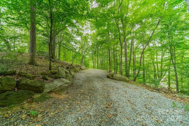 140 Huncoat Hollow Ln, Iron Station, NC 28080 - photo 45