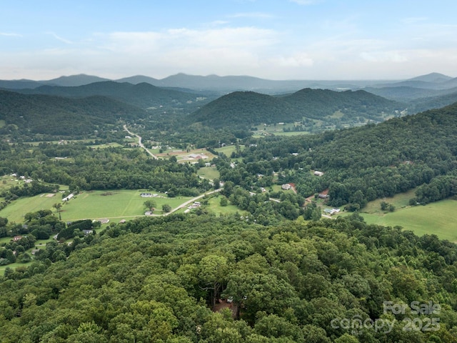 88 Candyland Ct, Candler, NC 28715 - photo 5