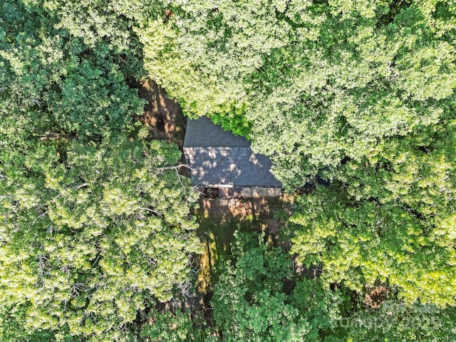 916 Coopers Gap Rd, Mill Spring, NC 28756 - photo 28