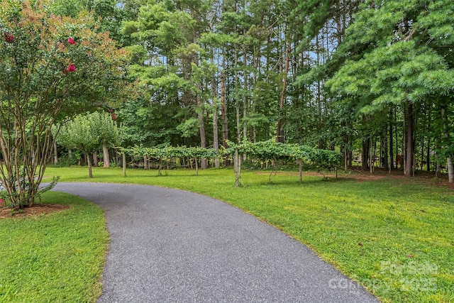 2423 Warrior Fork Trl, Morganton, NC 28655 - photo 29