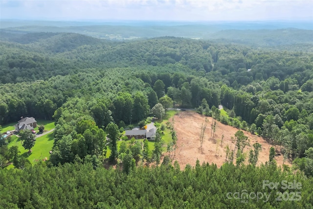 2423 Warrior Fork Trl, Morganton, NC 28655 - photo 37