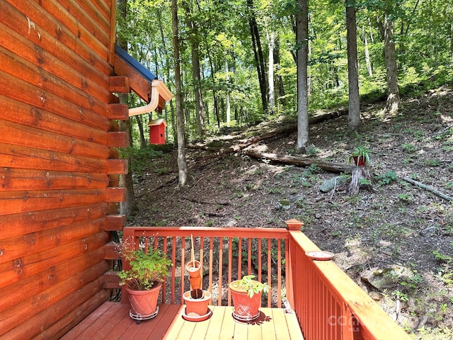 184 N Poplar Dr, Lake Lure, NC 28746 - photo 34