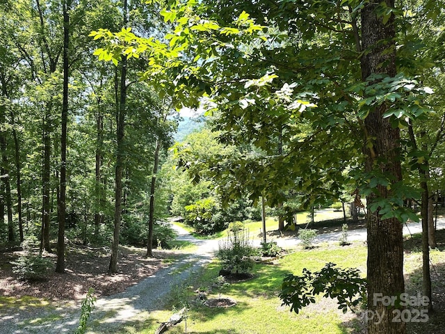 184 N Poplar Dr, Lake Lure, NC 28746 - photo 37