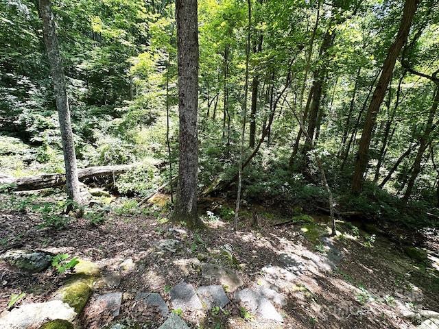 184 N Poplar Dr, Lake Lure, NC 28746 - photo 48