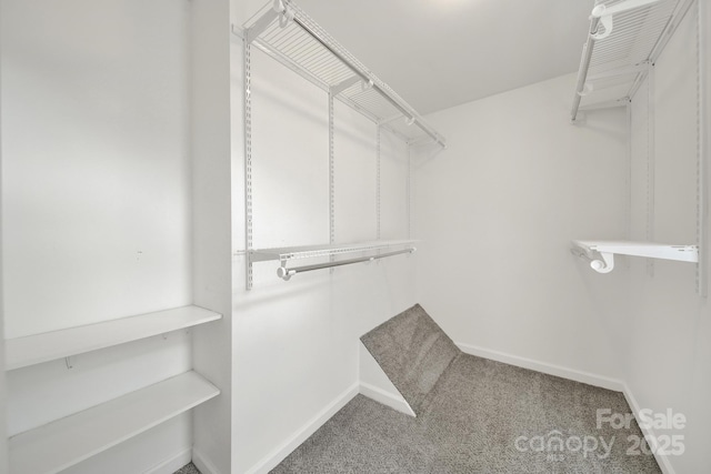 7801 Bella Vista Ct, Charlotte, NC 28216 - photo 22
