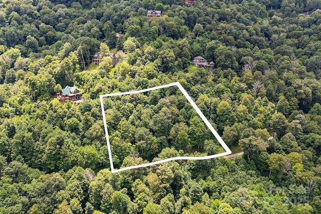 17 Mountain Gait Dr Unit 17, Mars Hill, NC 28754 - photo 1