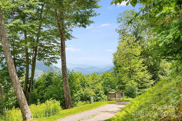 17 Mountain Gait Dr Unit 17, Mars Hill, NC 28754 - photo 2
