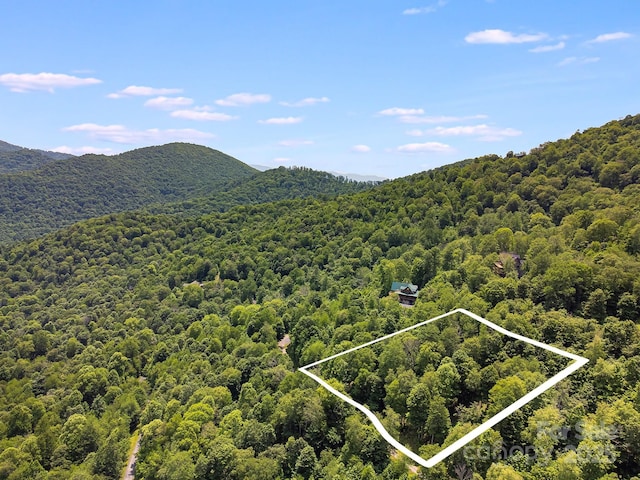 17 Mountain Gait Dr Unit 17, Mars Hill, NC 28754 - photo 4