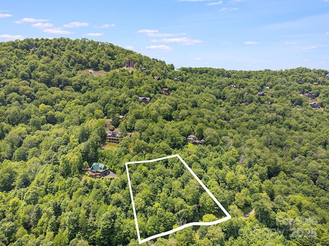 17 Mountain Gait Dr Unit 17, Mars Hill, NC 28754 - photo 5