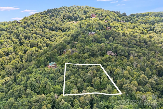 17 Mountain Gait Dr Unit 17, Mars Hill, NC 28754 - photo 6