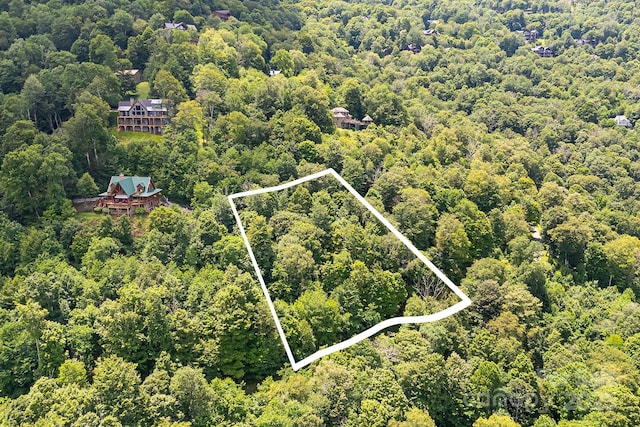 17 Mountain Gait Dr Unit 17, Mars Hill, NC 28754 - photo 7