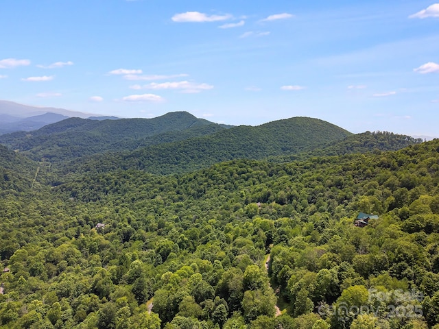 17 Mountain Gait Dr Unit 17, Mars Hill, NC 28754 - photo 8