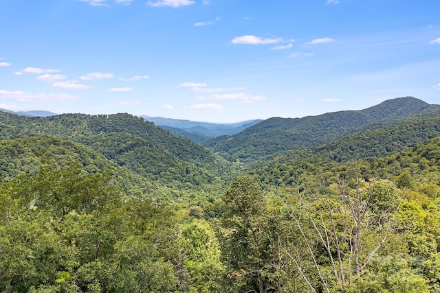 17 Mountain Gait Dr Unit 17, Mars Hill, NC 28754 - photo 9