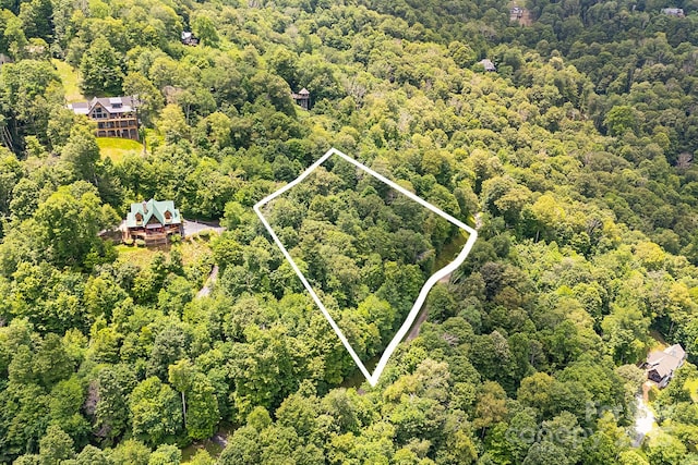 17 Mountain Gait Dr Unit 17, Mars Hill, NC 28754 - photo 11