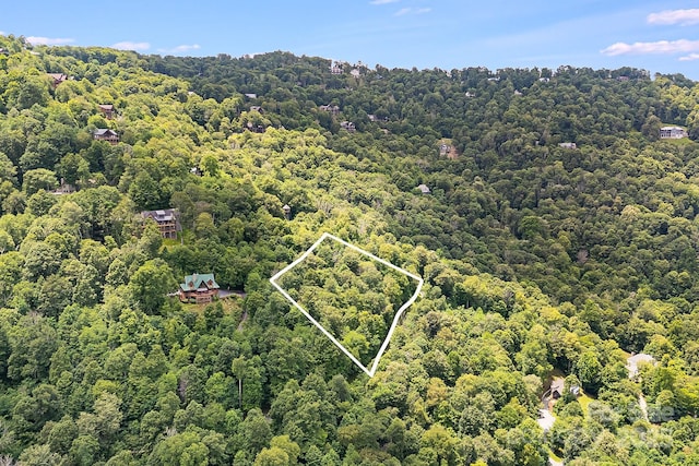 17 Mountain Gait Dr Unit 17, Mars Hill, NC 28754 - photo 12