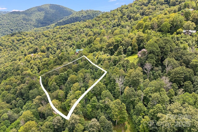17 Mountain Gait Dr Unit 17, Mars Hill, NC 28754 - photo 13