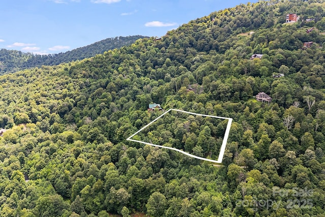 17 Mountain Gait Dr Unit 17, Mars Hill, NC 28754 - photo 15