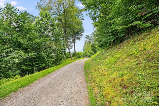 17 Mountain Gait Dr Unit 17, Mars Hill, NC 28754 - photo 16