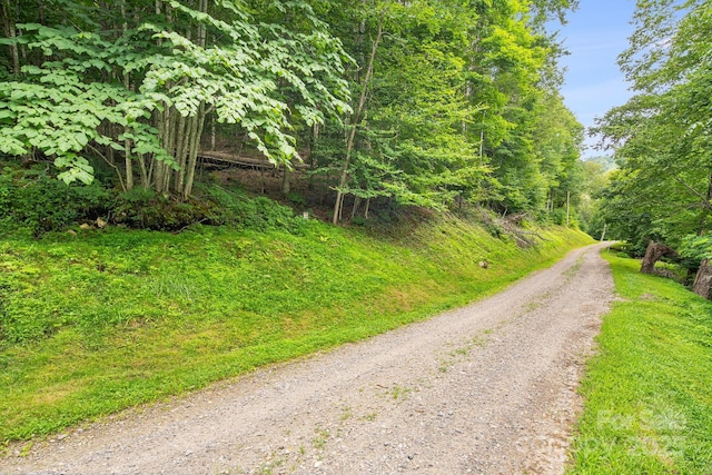 17 Mountain Gait Dr Unit 17, Mars Hill, NC 28754 - photo 18