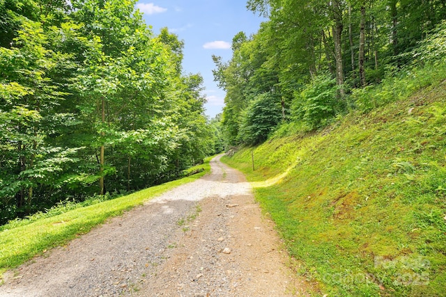 17 Mountain Gait Dr Unit 17, Mars Hill, NC 28754 - photo 19