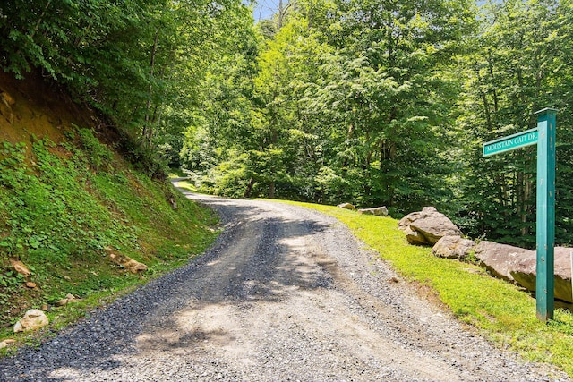 17 Mountain Gait Dr Unit 17, Mars Hill, NC 28754 - photo 21