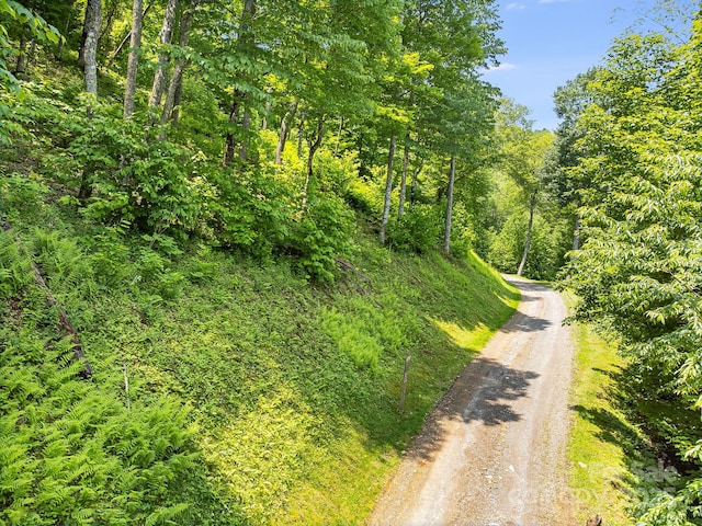 17 Mountain Gait Dr Unit 17, Mars Hill, NC 28754 - photo 25