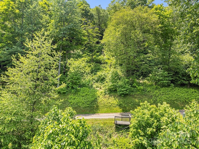 17 Mountain Gait Dr Unit 17, Mars Hill, NC 28754 - photo 26