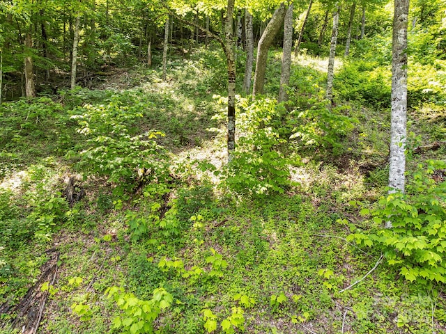 17 Mountain Gait Dr Unit 17, Mars Hill, NC 28754 - photo 27